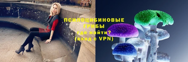 твердый Алзамай