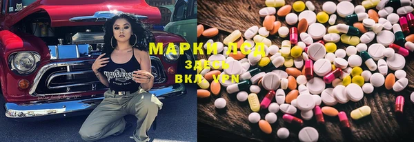 твердый Алзамай